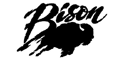 Bison Inc.
