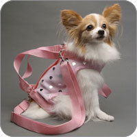 purse like dog carriers