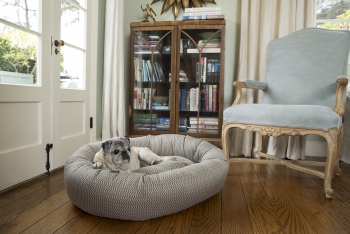 jax and bones dog beds