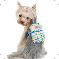 tiny backpack for dogs