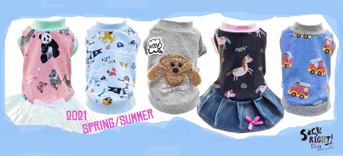 dog clothes websites