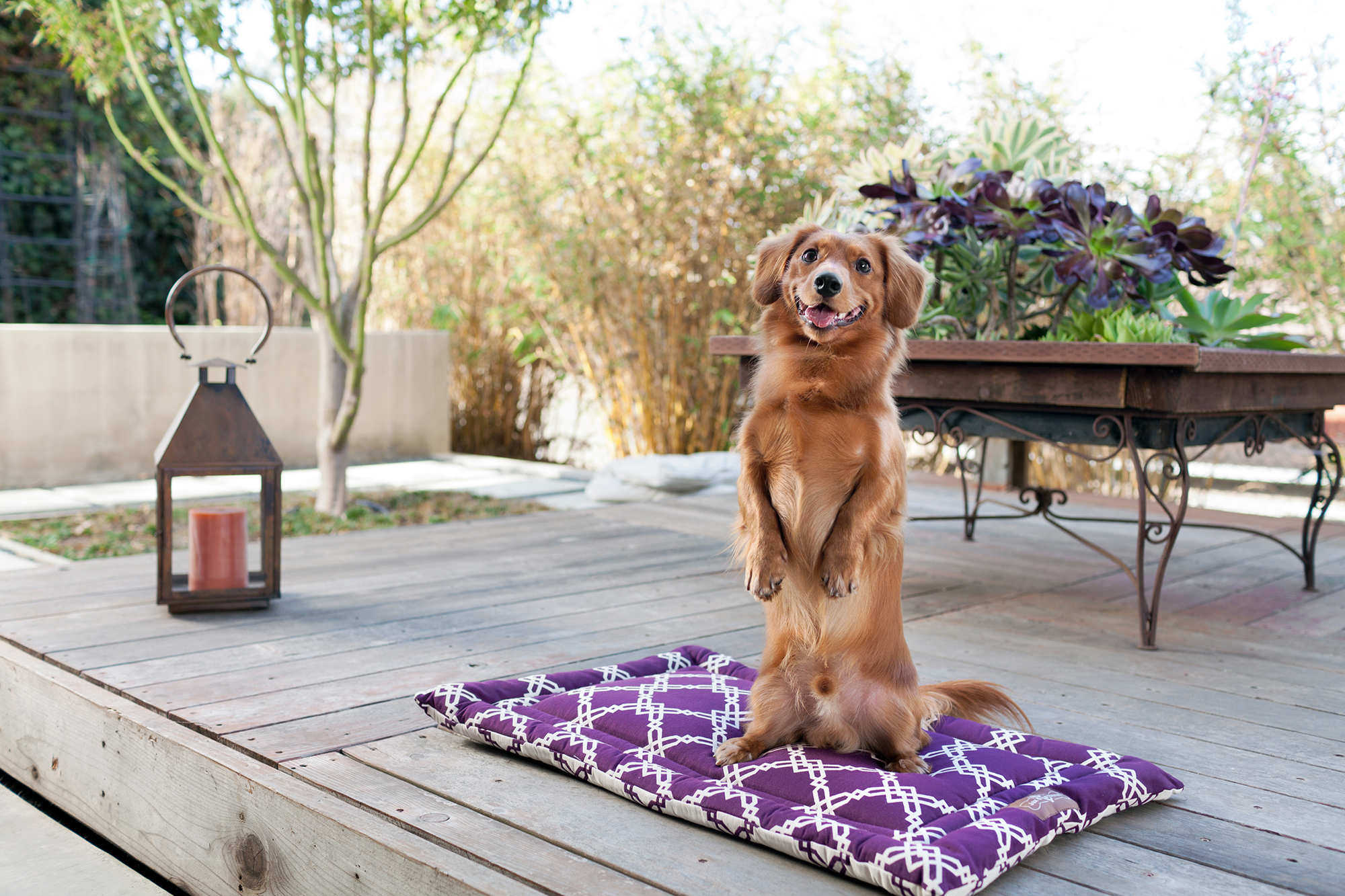 cozy-mat-cotton-blend-kratos-prince-lifestyle-2000x1333-72dpi-rgb.jpg cozy-mat-cotton-blend-kratos-prince-lifestyle-2000x1333-72dpi-rgb.jpg