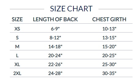 dn-jersey-size-chart-xs-xxl.jpg