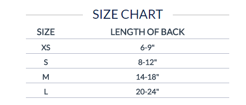 dn-jersey-size-chart.jpg