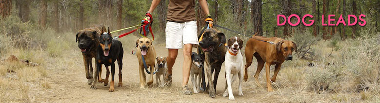 dogleads.jpg dogleads.jpg