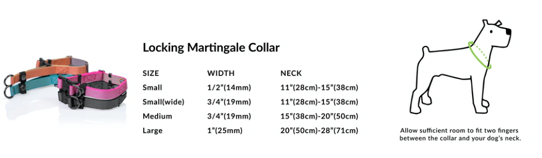 martingale-size-collar.png
