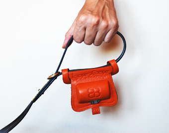 Looper Scooper