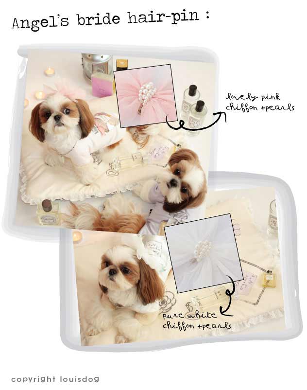 Louisdog Angel Bee Dog Bow