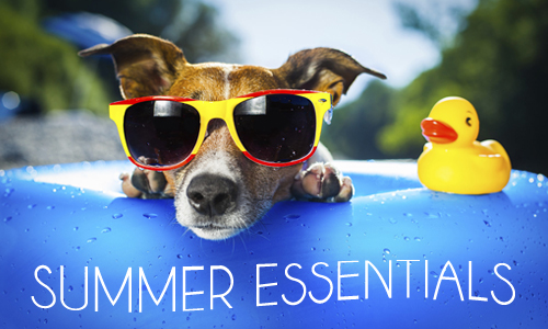 summer-essentials.jpg