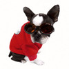 Doggles Eye Protection for Dogs