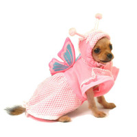 Lady Butterfly Dog Costume