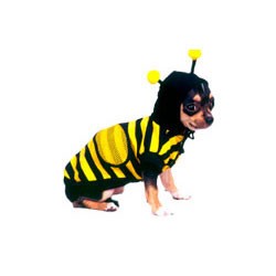 baby in bee costume