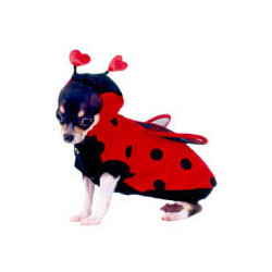 Lady Bug Dog Costume