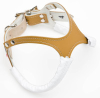 bb2 dog harness