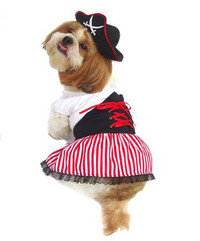 Lady Pirate Dog Costume