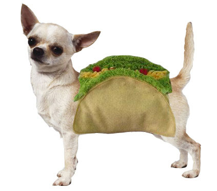 taco dog toy