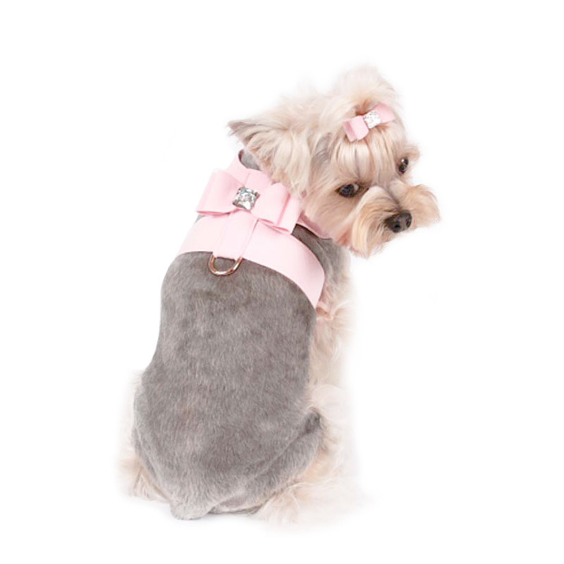 baby aspirin and dogs