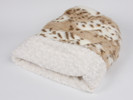 Artic Leopard with Ivory Curls