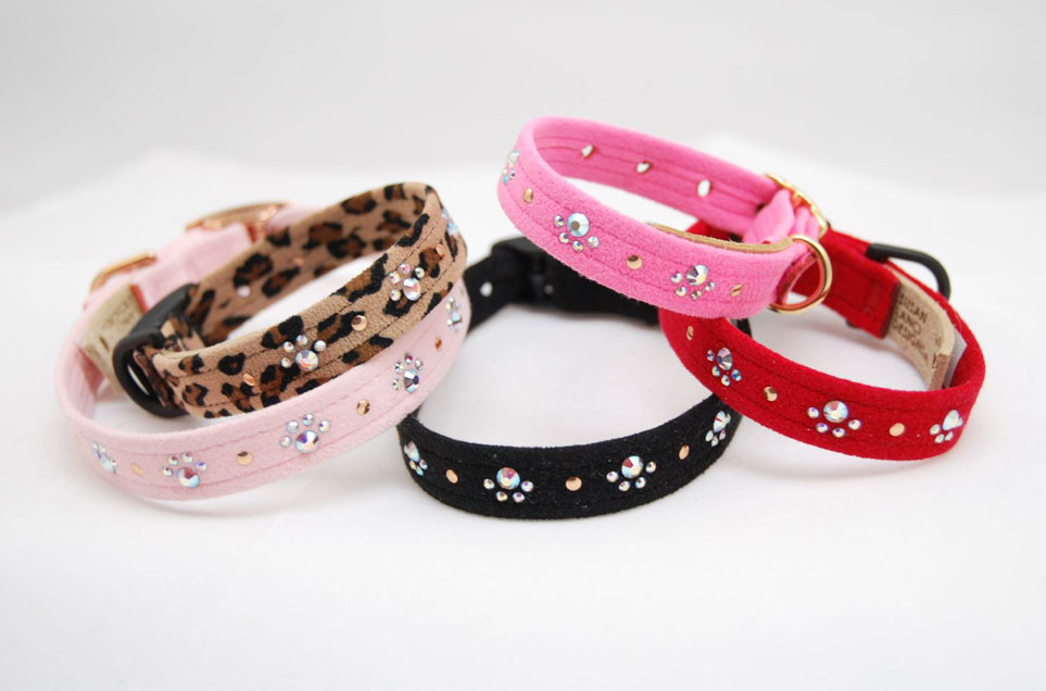 ed dog collars