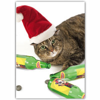 Cat Holiday Card