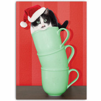 Cat Coffee Cup Holiday Card