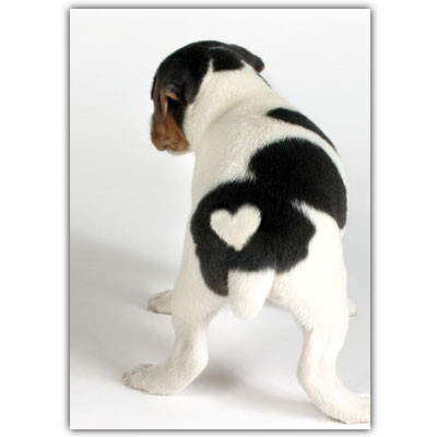 Heart Puppy Blank Card