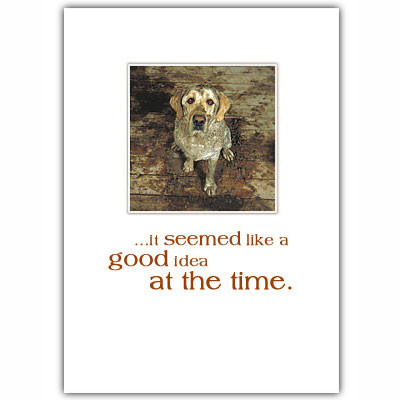 Yellow Lab Sorry Card