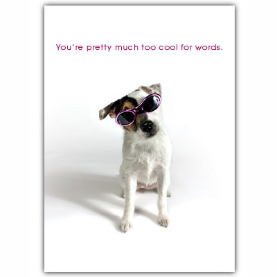 Jack Russell Thank You Card