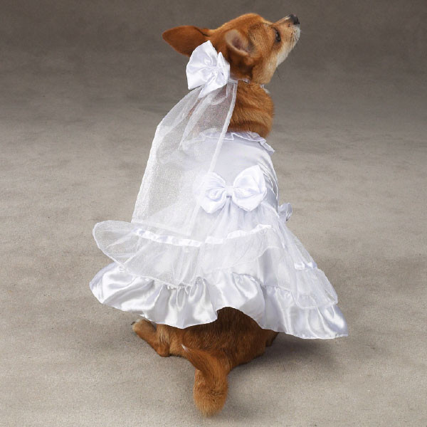 large dog wedding dress