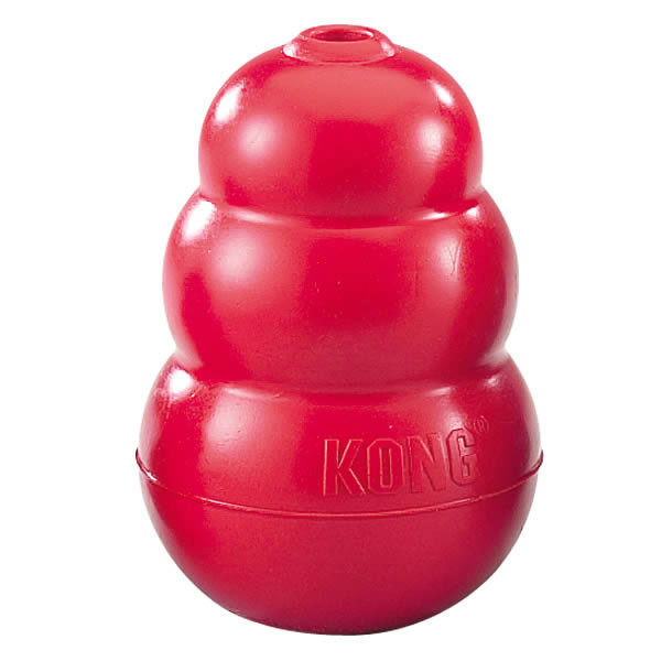 kong dental toy