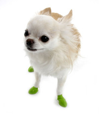 Dog Booties, Dog Fur Boots, Dog Sneakers