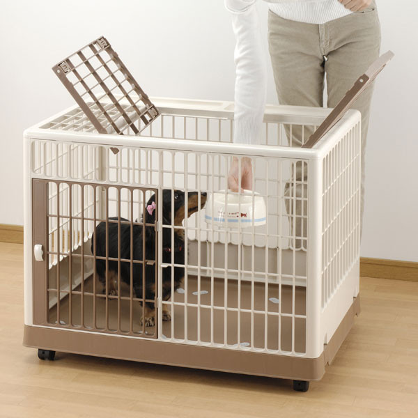 potty training kennel
