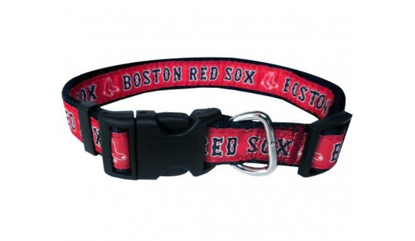 locking dog collar
