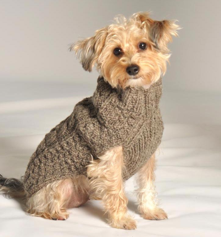 dog sweaters