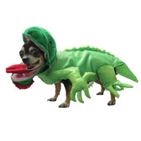 Iguana Dog Costume