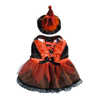 Orange & Black LED Witch Dog Costume
