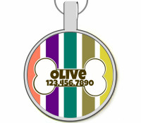 Autumn Stripes with Bone Silver Pet ID Tags