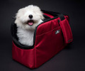 Sleepypod Atom Pet Carriers Sleepypod Atom Pet Carriers
