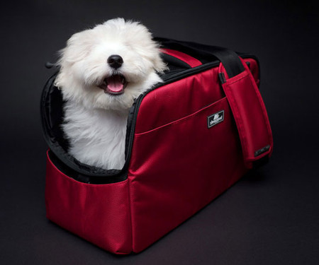 Sleepypod Atom Pet Carriers