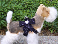 Stardust Tail Bow Heart Step-In Harness