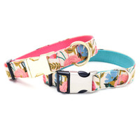 Canvas Collar and Leads