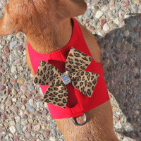 Susan Lanci Two Tone Nouveau Bow Bailey II Harness
