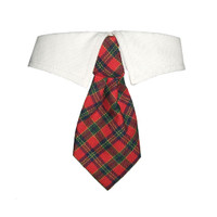 Holiday Shirt Collar