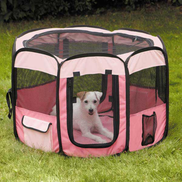 insect shield for dogs