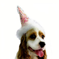 Birthday Girl Dog Hat