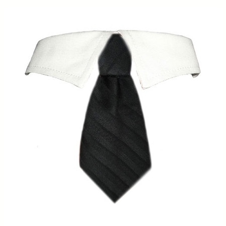 David Shirt Tie Collar