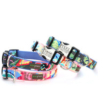 Classic Cotton Collars and Leads