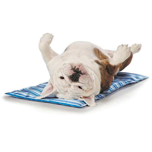 be good cool pup mat