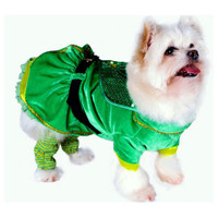 Leprechaun Girl Dog Costume
