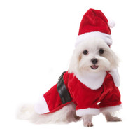 Santa Paws Coat